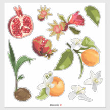 Fruit. Kokon. Granatapfel. Orange.