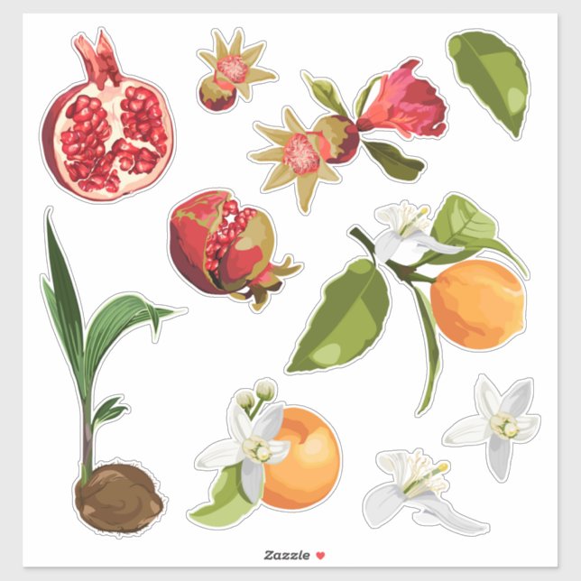 Fruit. Kokon. Granatapfel. Orange. Aufkleber (Blatt)
