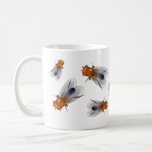 Fruit mouche - Drosophila melanogaster mug
