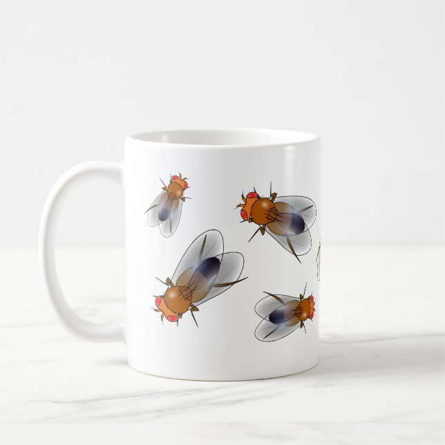 Fruit mouche - Drosophila melanogaster mug (Gauche)