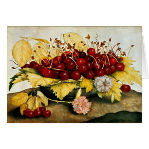 FRUITS DE SAISON / CHERRIES ET CARNATIONS