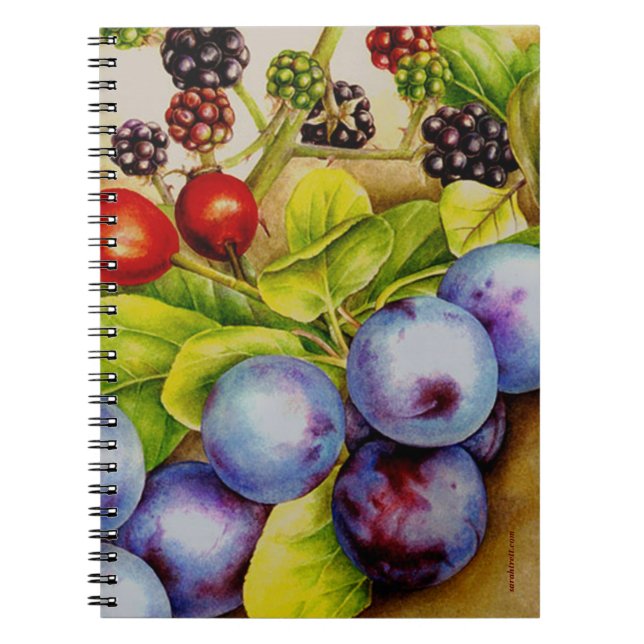 Fruits du carnet d'art de Hedgerow (Devant)