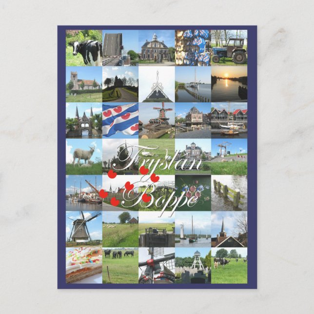 Fryslân Boppe Friesland Photo Postcard Carte (Devant)