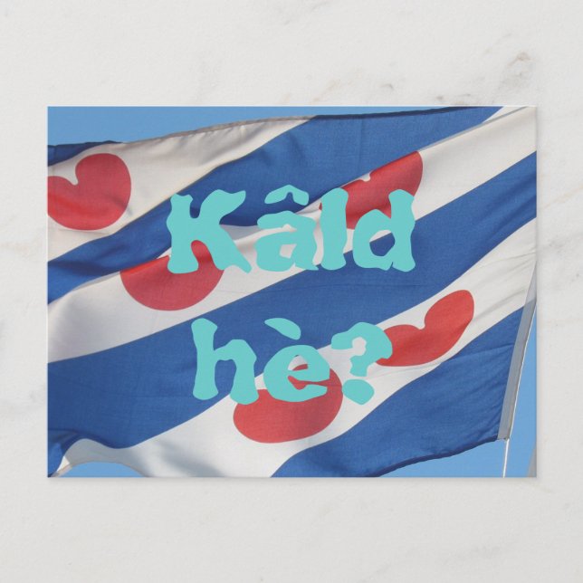Fryslan Flag & Text Kâld hè? Postkarte (Vorderseite)