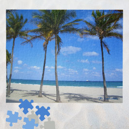 Ft Lauderdale Beach Florida Sand Palmen Bäume Ozea