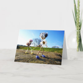 Fubby die madeliefjes plukken. dankeskarte