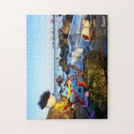 Fubby met flessenpost aan de kust.