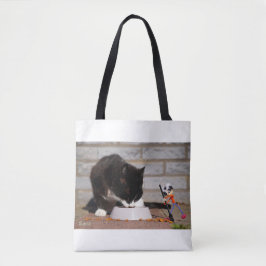 Fubby schoonmaken met de bezem bij etende Kat. Tasche