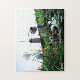 Fubby's bij een molen planten een krokus bol.