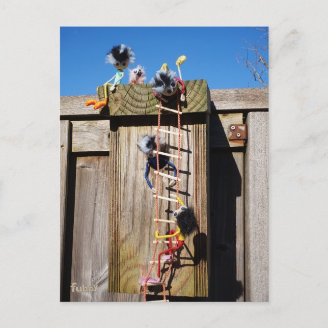 Fubby's die een vogelhuis beklimmen. postkarte (Vorderseite)
