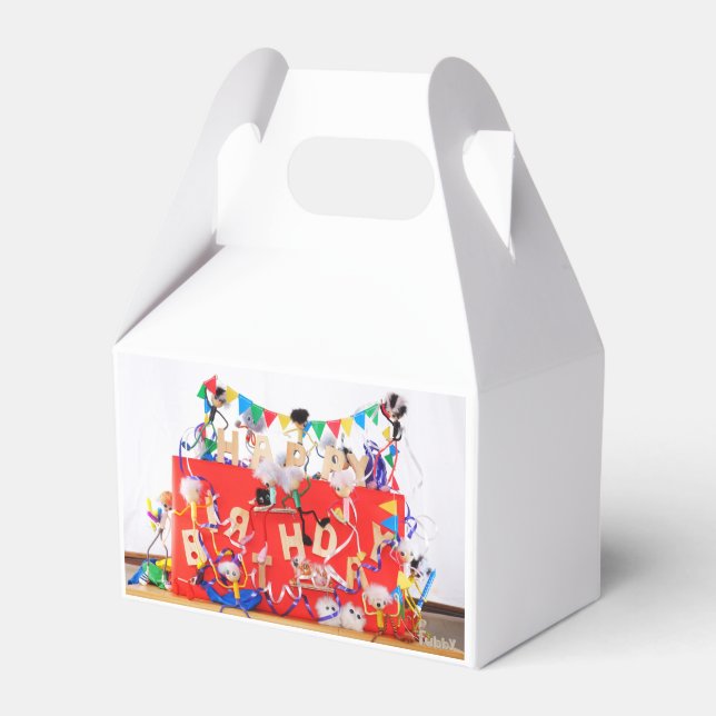Fubby's die feest vieren voor verjaardag. geschenkschachtel (Vorderseite)