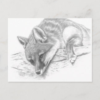 Fuchs 59 postkarte