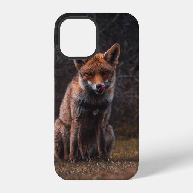 FUCHS AUF GRÜNFLÄCHE iPhone 12 HÜLLE (Rückseite)