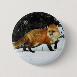 Fuchs Button