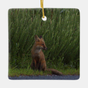 Fuchs-Foto-Ornament  Keramikornament