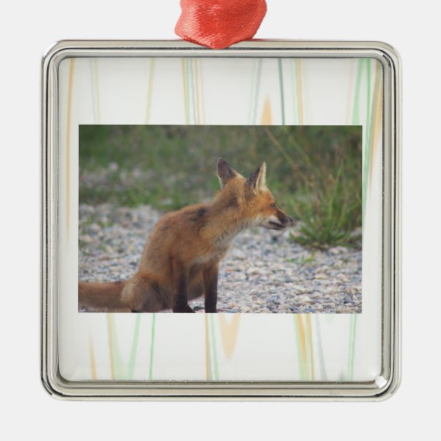 Fuchs-Foto-Ornament Ornament Aus Metall (Vorne)