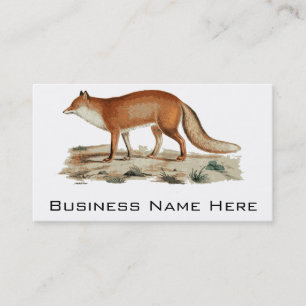 Fuchs-Illustration Visitenkarte