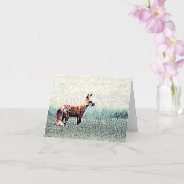 Fuchs im Gras - Blanke Grußkarte Karte (Orchidee)