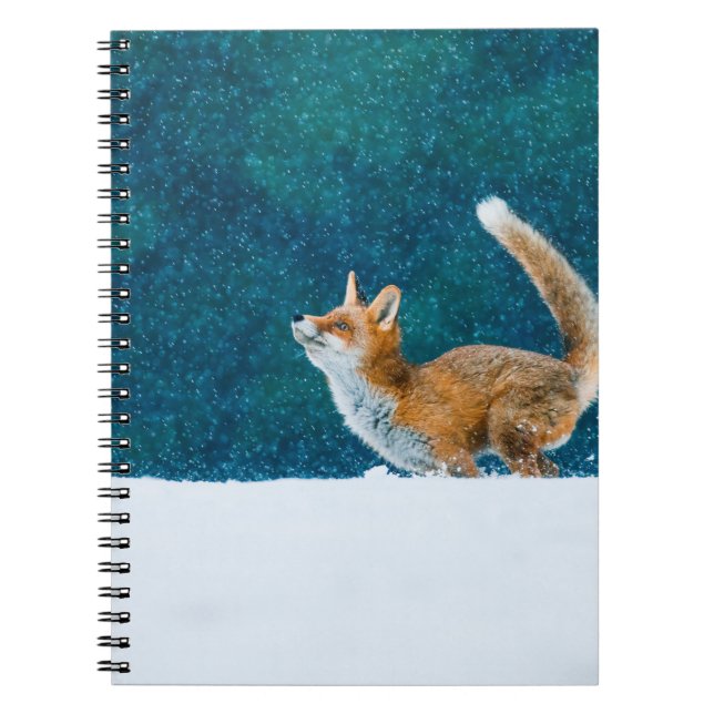Fuchs im Schneefall. Roter Fuchs, Vulpes vulpes, s Notizblock (Vorderseite)