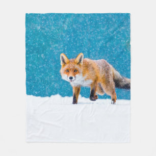 Fuchs im Winter. Rotfuchs, Vulpes vulpes, schnüffe Fleecedecke