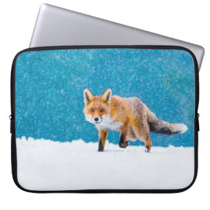 Fuchs im Winter. Rotfuchs, Vulpes vulpes, schnüffe Laptopschutzhülle