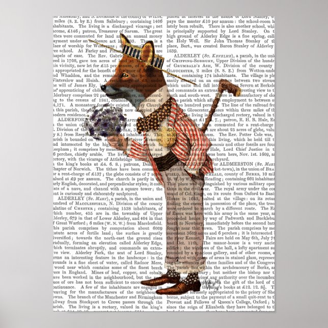Fuchs in Boater Poster (Vorne)