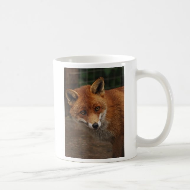 Fuchs Kaffeetasse (Rechts)