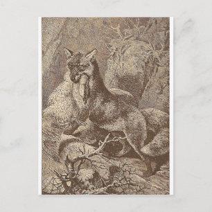 Fuchs mit seiner Beute Postkarte