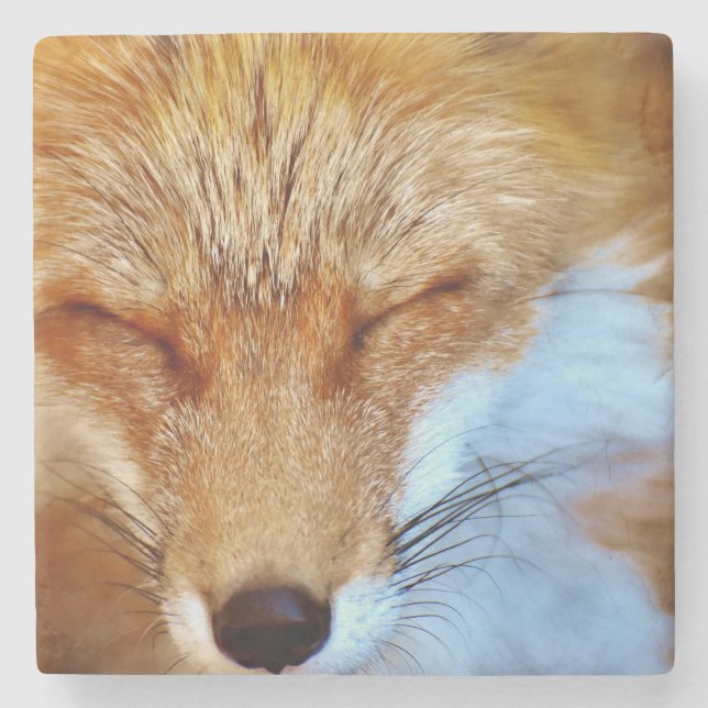 Fuchs Steinuntersetzer (Vorderseite)