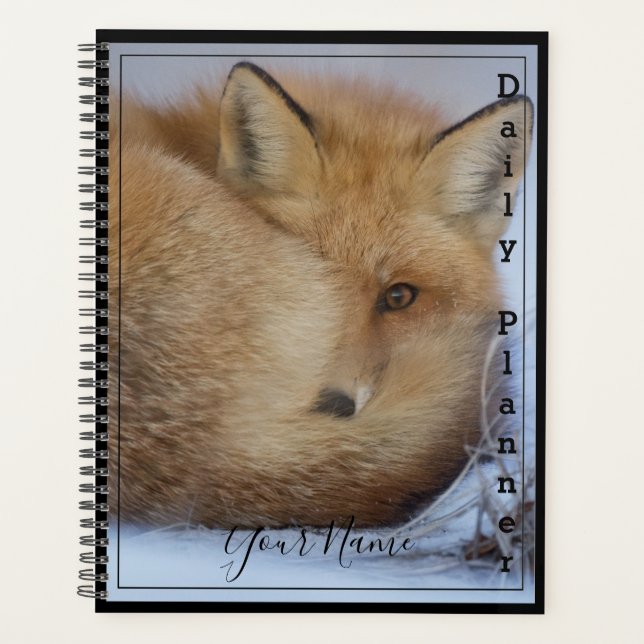 Fuchs - Tagesplaner- HAMbWG Planer (Vorderseite)