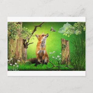 Fuchs und Kolibri Postkarte