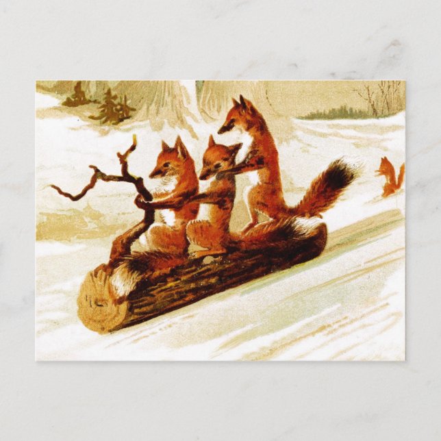 Füchse Im Protokoll durch den Schnee gleiten Postkarte (Vorderseite)