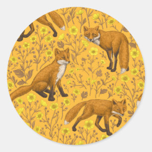 Füchse und Buttercups auf Orange Runder Aufkleber
