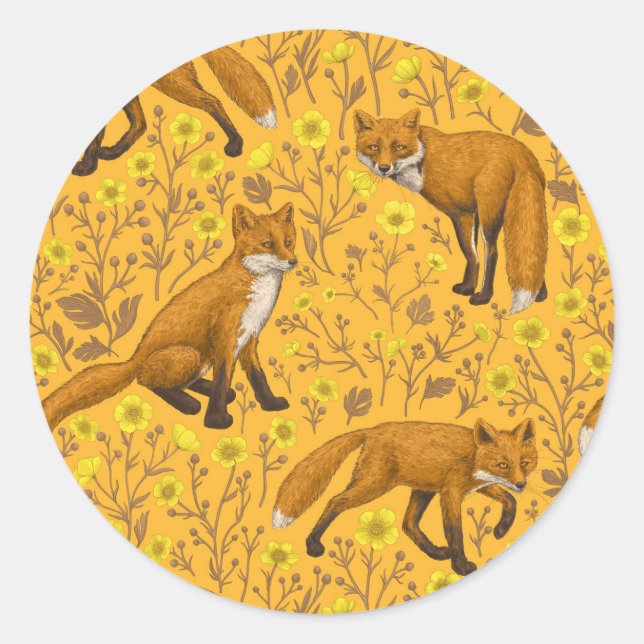 Füchse und Buttercups auf Orange Runder Aufkleber (Vorderseite)
