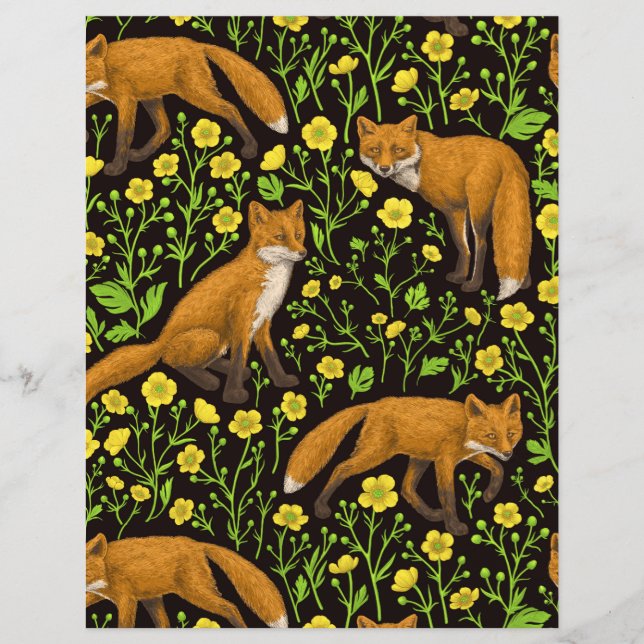 Füchse und Buttercups auf schwarz (Vorderseite)