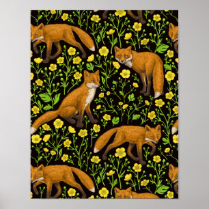 Füchse und Buttercups auf schwarz Poster