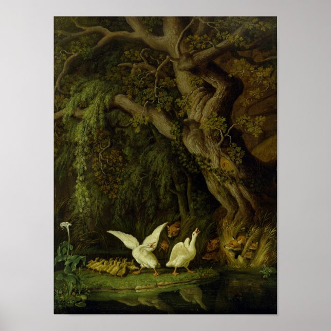Füchse und Gänse Poster (Vorne)