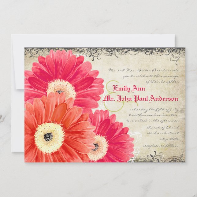 Fuchsia Coral Orange Gerber Daisy Wedding Einladun Einladung (Vorderseite)