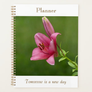 Fuchsia-Lily-Planer Planer