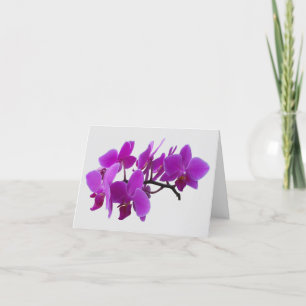 Fuchsia moth Orchideen auf einer Dankeschön-Karte Dankeskarte