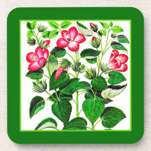 Fuchsia Pink italienische Hibiskus Blume Getränkeuntersetzer