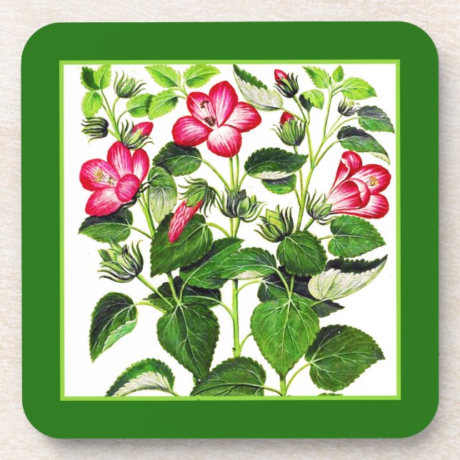 Fuchsia Pink italienische Hibiskus Blume Getränkeuntersetzer (Vorderseite)