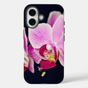 Fuchsia Pink Orchid title_seo2