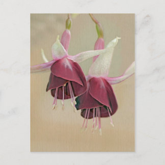 Fuchsia Postcard Postkarte