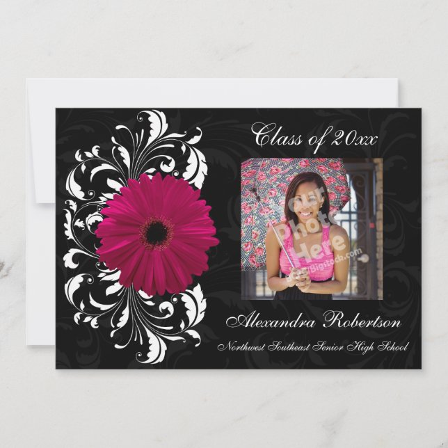 Fuchsia Scroll Gerbera Daisy Graduation Einladung (Vorderseite)