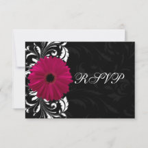 Fuchsia Scroll Gerbera Daisy w/Black and White