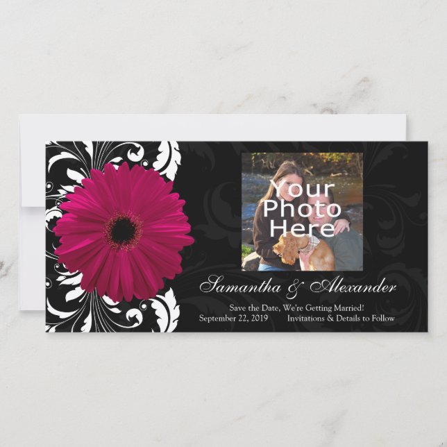 Fuchsia Scroll Gerbera Daisy w/Black and White Save The Date (Vorderseite)