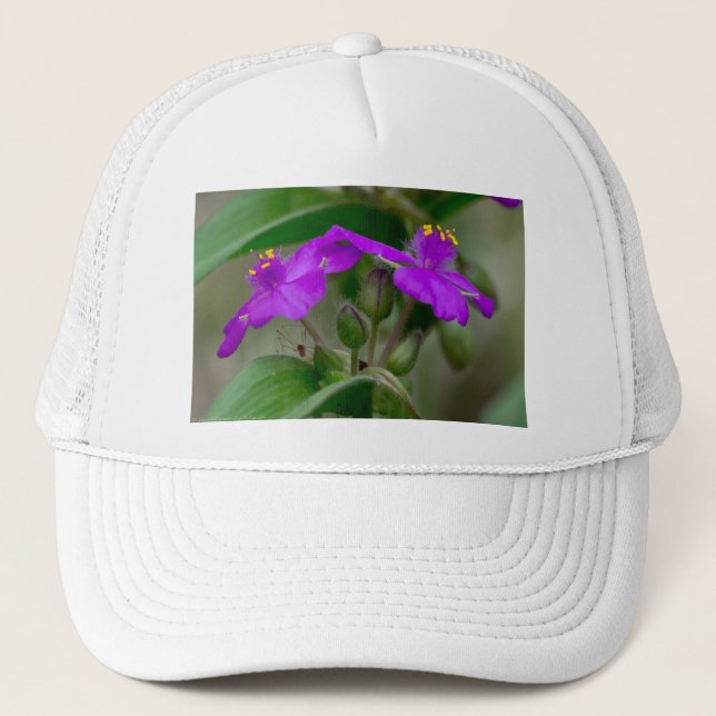Fuchsia Spiderwort Twins Wildblume Geschenke Appar Truckerkappe (Vorderseite)