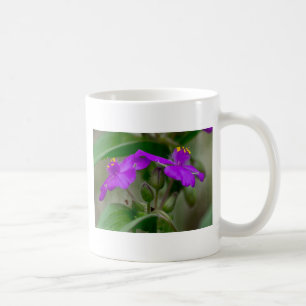 Fuchsia-Spinnkraut-Zwillinge Wildblumen-Geschenke Kaffeetasse