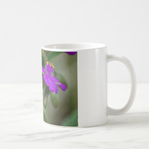 Fuchsia-Spinnkraut-Zwillinge Wildblumen-Geschenke  Kaffeetasse